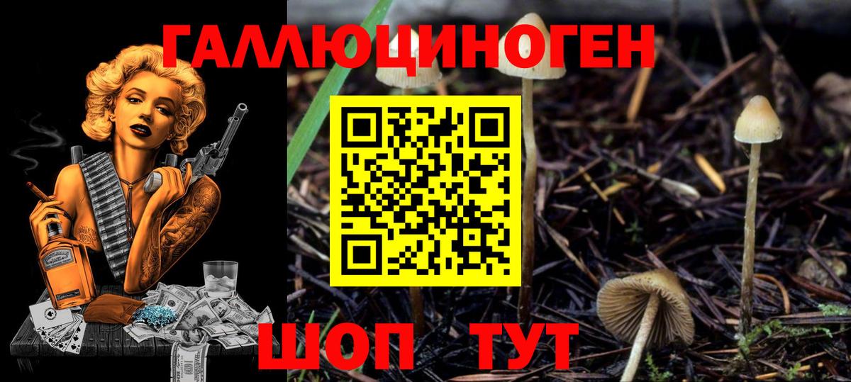 Псилоцибиновые грибы Cubensis  Вход с VPN  Галлюциногенные грибы Magic Shrooms  Кириши 