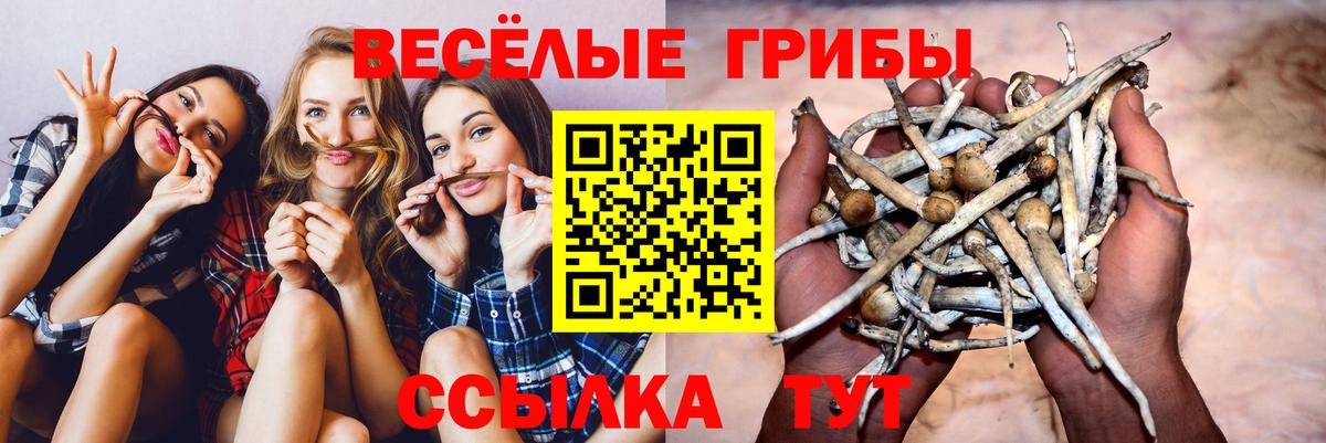 АМФЕТАМИН Кириши