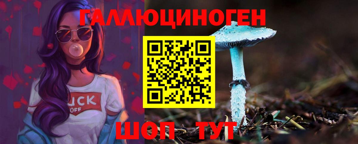 Галлюциногенные грибы Cubensis Кириши